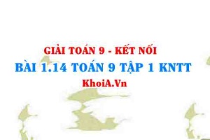 Bài 1.14 SGK Toán 9 tập 1 Kết nối tri thức